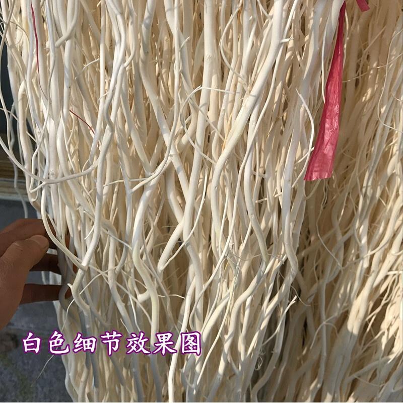 18新款龙柳龙柳干枝假树枝装饰白色干花龙桑装饰隔断橱窗装饰树枝2.2米白色加粗50支干树枝