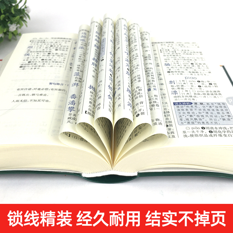 [正版]书店 人教版新编学生字典第2版双色本 人民教育出版社辞书研究中心编第二版人教社学生工具书 第二版小中学生字典