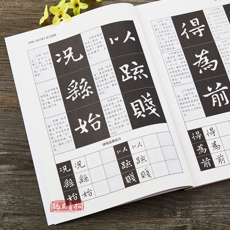 [正版]中国历代经典法帖毛笔与硬笔临习指南系列钟繇《宣示表》楷书临习指南小楷钢笔书法毛笔字帖高清大图