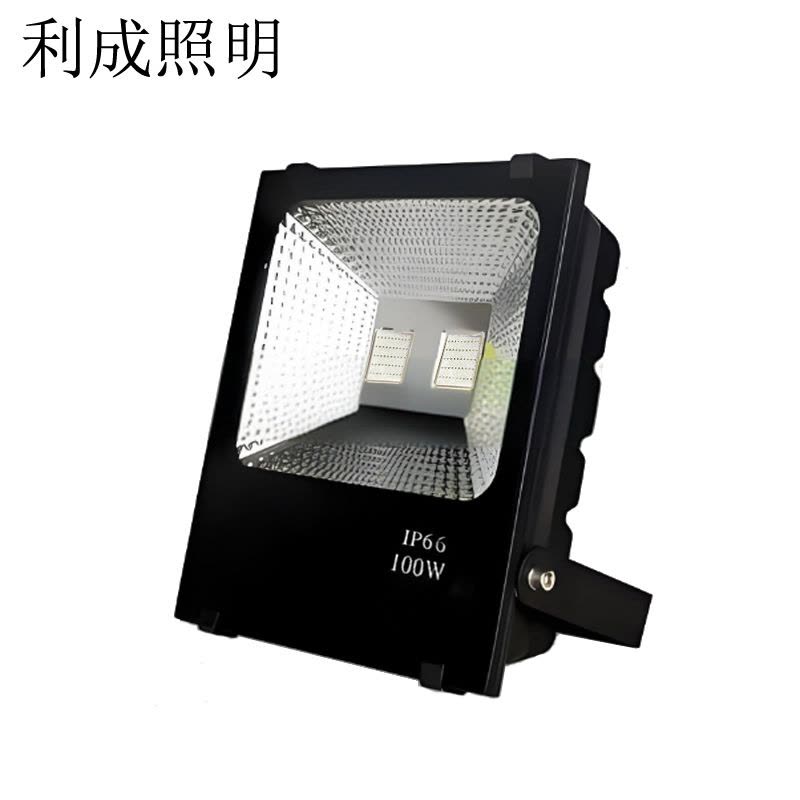 利成照明 彩色泛光灯 LC1321-100W图片