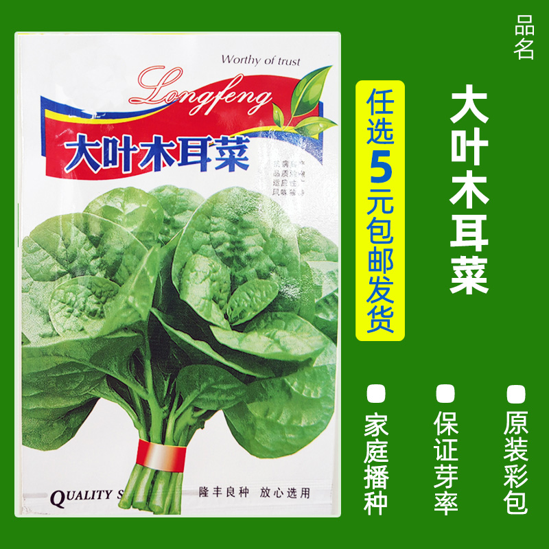 【补贴10%】四季蔬菜种子青菜香菜白菜生菜小葱黄瓜阳台盆栽香瓜冰糖 B1-大叶木耳菜约3.5克 均码