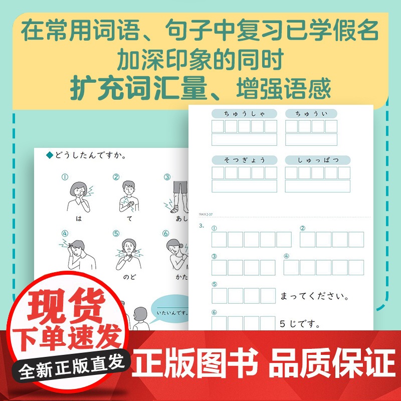 假名集中训练营:12天攻克日语假名 零基础学习者高效学习基础词汇上海译文出版社日文入门高清大图