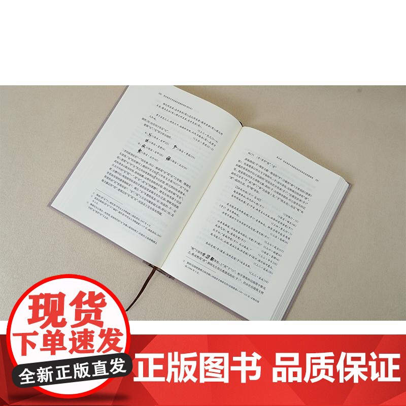 楚系简帛中字形与音义关系研究修订本 陈斯鹏汉语断代分域语料字词关系研究典范之作帛书文字研究中西书局高清大图