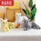 真智力仿真小猫咪公仔毛绒玩具小花趴猫白猫摆件儿童玩偶抱枕床上男女孩 黄色 30厘米(订阅收藏+送小挂件)仿真食物