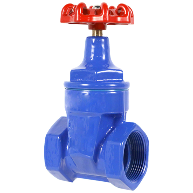 卡西斯顿 铸铁丝扣闸阀 DN40 个高清大图