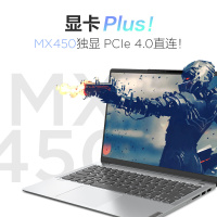 联想小新Air14Plus英特尔酷睿i5 14英寸全面屏轻薄笔记本电脑(i5-1155G7 16G 1TBSSD 2.2K屏 MX450独显)银色 定制版
