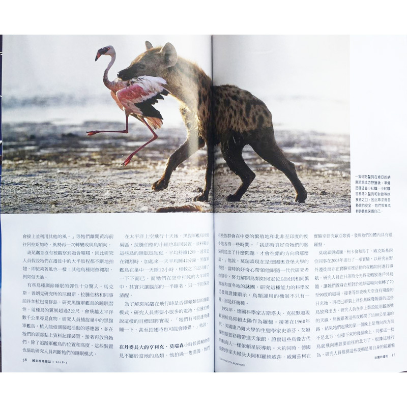 [正版]美国国家地理杂志繁体中文杂志 2018年3月 NATIONAL GEOGRAPHIC