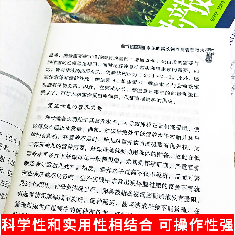 [正版]2册养殖技术书肉兔标准化生产技术高效养兔技术科学饲养管理农业畜牧实用手册兔病防治鉴别诊断图谱治疗全书动物营养高清大图