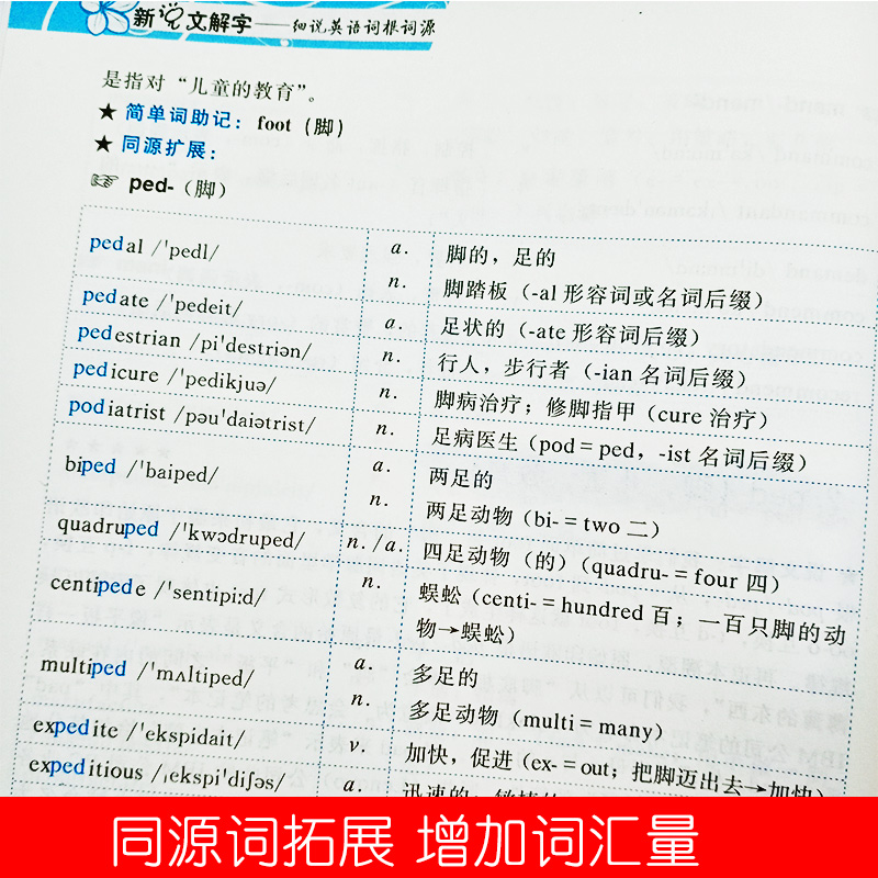 [正版]新说文解字细说英语词根词缀快速记忆法大全初中英语单词记背神器英语词汇的奥秘用法辨析手册英语词汇速记大全英语词根与高清大图