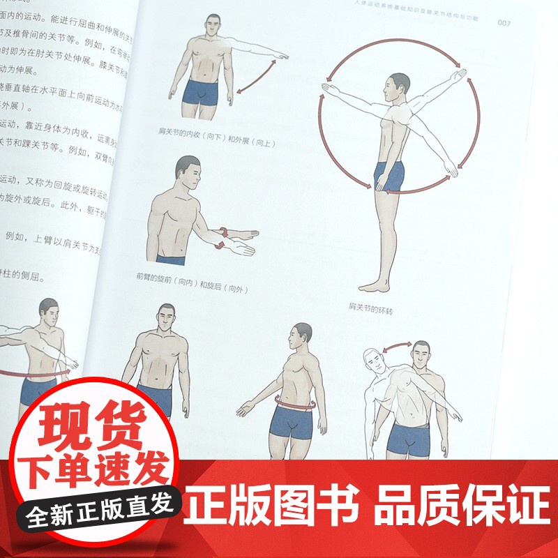 膝关节功能强化训练 预防损伤 缓解慢性疼痛与提升运动表现 闫琪 著 运动高清大图