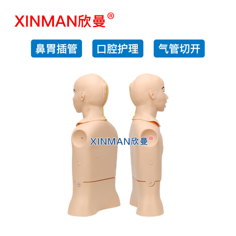 欣曼 高级鼻胃插管及口腔护理模型人 鼻饲模型XM-BWGA高清大图