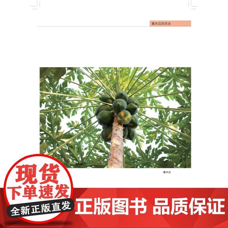 番木瓜的故事 为什么我们需要转基因中国科技发展故事白蓝吴潇著作上海科学技术出版社农业基础科学科普转基因技术的原理与应用图片