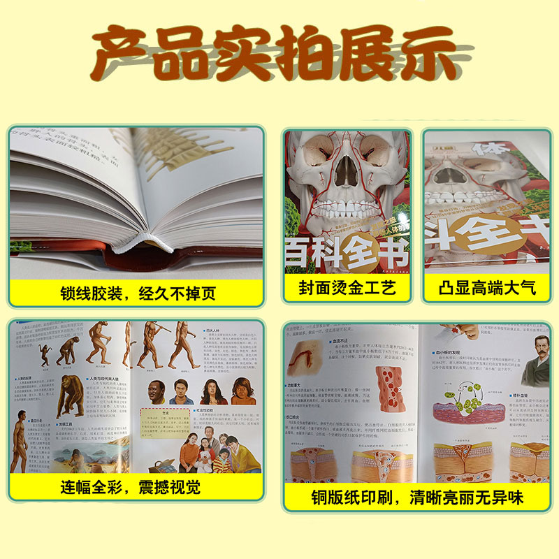 人体百科全书 [正版]儿童奥秘人体百科大全书海量图片揭秘我们的身体骨骼结构图解以文字为孩子探索认识人体科普打开兴趣四五六高清大图