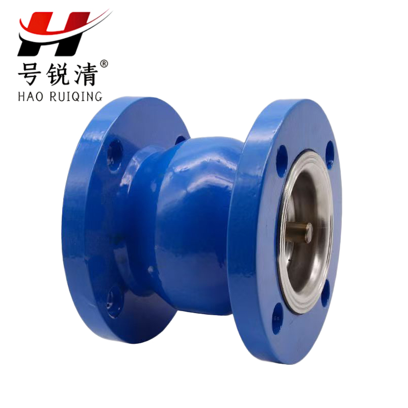 号锐清 止逆阀DN65 个 DN65