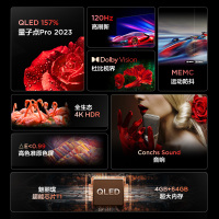 TCL 65T8E Max 65英寸QLED量子点全面屏高清智能液晶网络平板电视