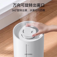 小米(MI)加湿器2 米家卧室空调家用办公室桌面立式大雾量空气净化 迷你低噪空气加湿 4L大容量银离子抗菌水箱