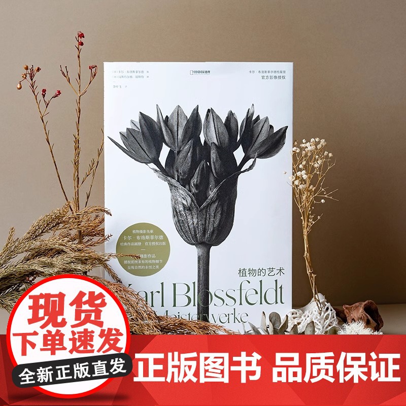 [央视网]植物的艺术 卡尔·布洛斯菲尔德摄影画册植物摄影照片DL高清大图