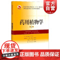 药用植物学第2版 赵志礼严玉平教学大纲医师考试国际标准十三五规划教材中医教材普通高等教育 上海科学技术出版社