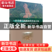 岩土体与场地条件作用下的滑坡碎屑流运动机制研究