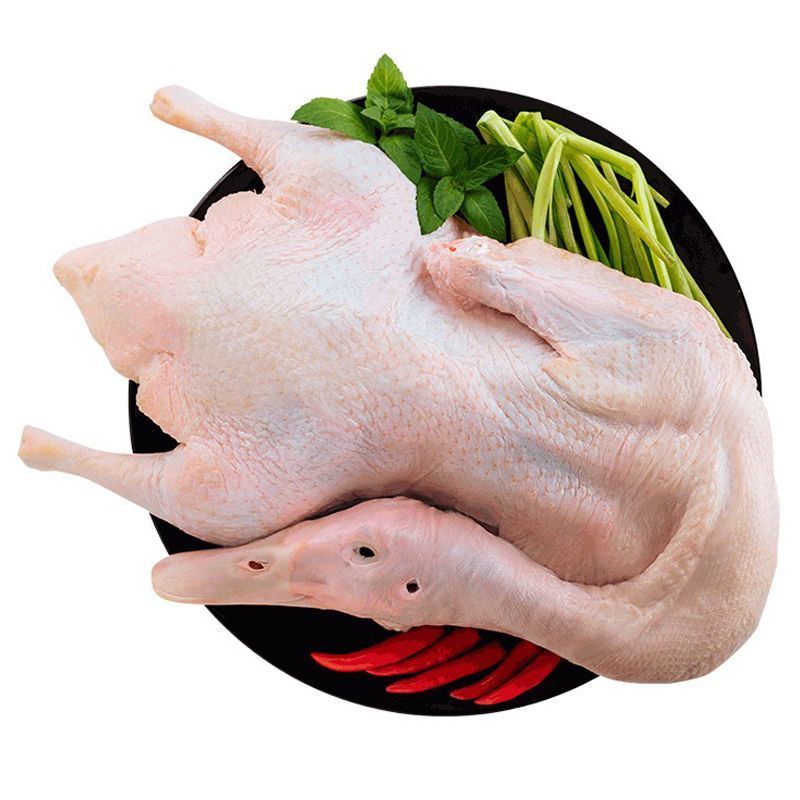 赛卡伊鸭子农家散养土鸭笨鸭白条鸭新鲜鸭子肉整鸭冷冻生鲜批发白条鸭