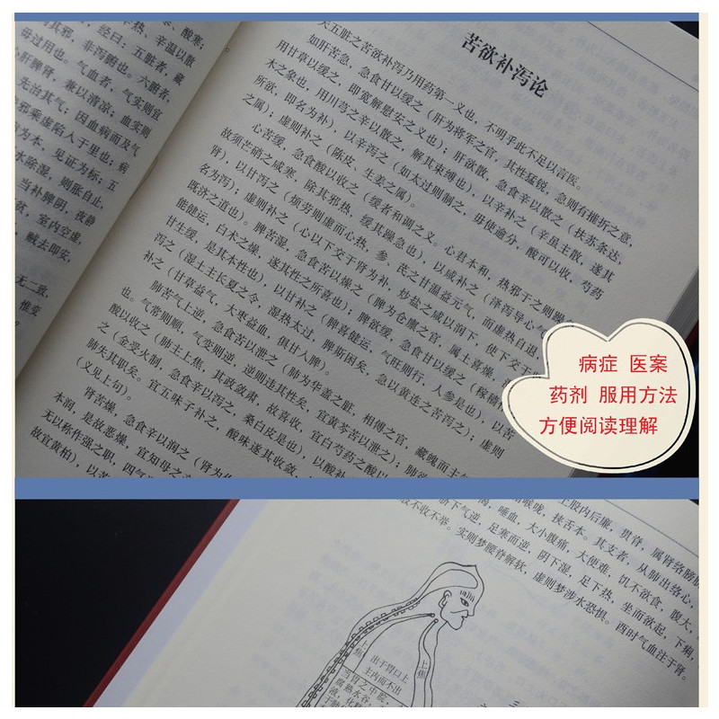 [正版]精装 医宗必读 伤寒论原文集注白话解 古典中医名著 中医学金鉴 医学入门中医自学百日通 诊断基础理论方剂 中医