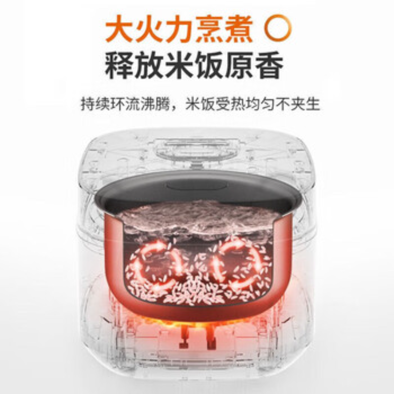 苏宁 九阳 电饭煲 F30FZ-F4170 金色3L高清大图