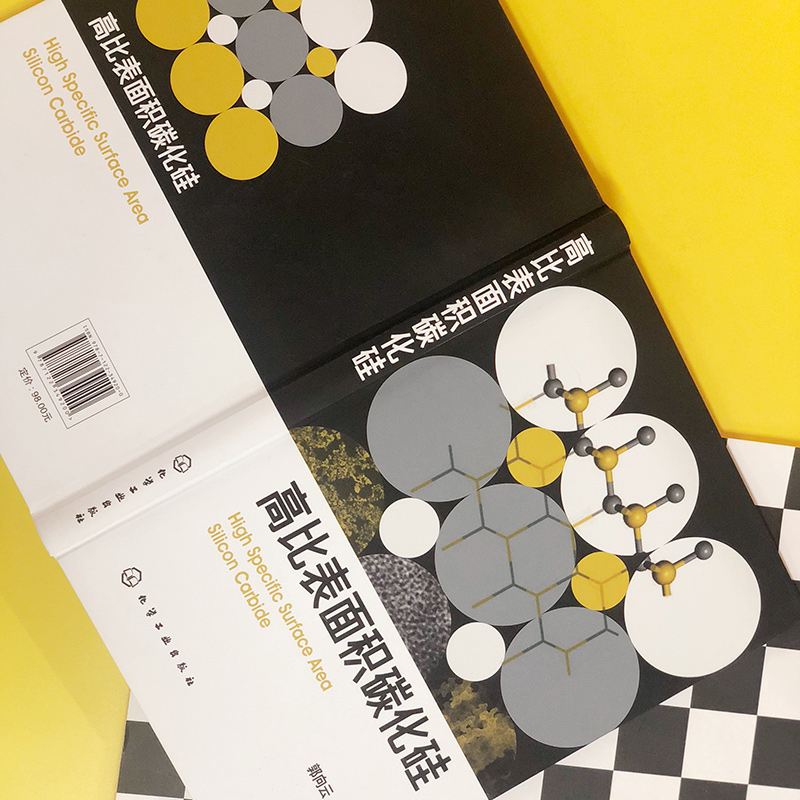 醉染图书高比表面积碳化硅9787124200高清大图