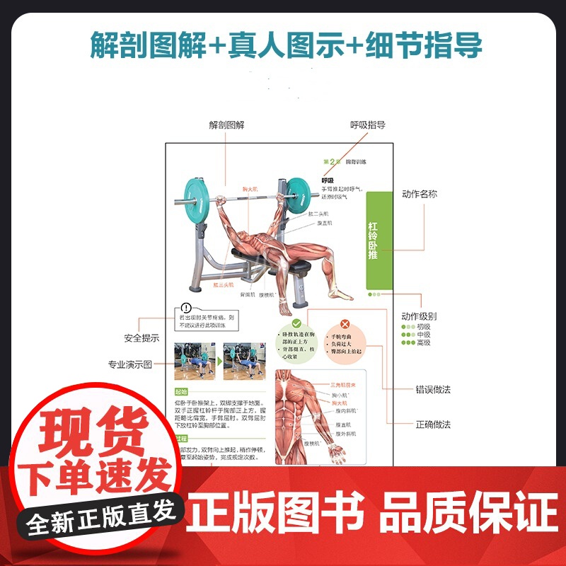 健身房训练彩色图谱 口袋版 健身书籍 健身训练计划 增肌书籍 力量与肌肉训练图谱 力量训练书籍高清大图