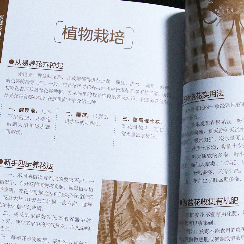 [醉染正版]家庭实用小常识 生活百科全书 家居收纳/衣物清洗/食材选购/种花/常见病/家庭急救常识书 居家清洁卫生快速做高清大图