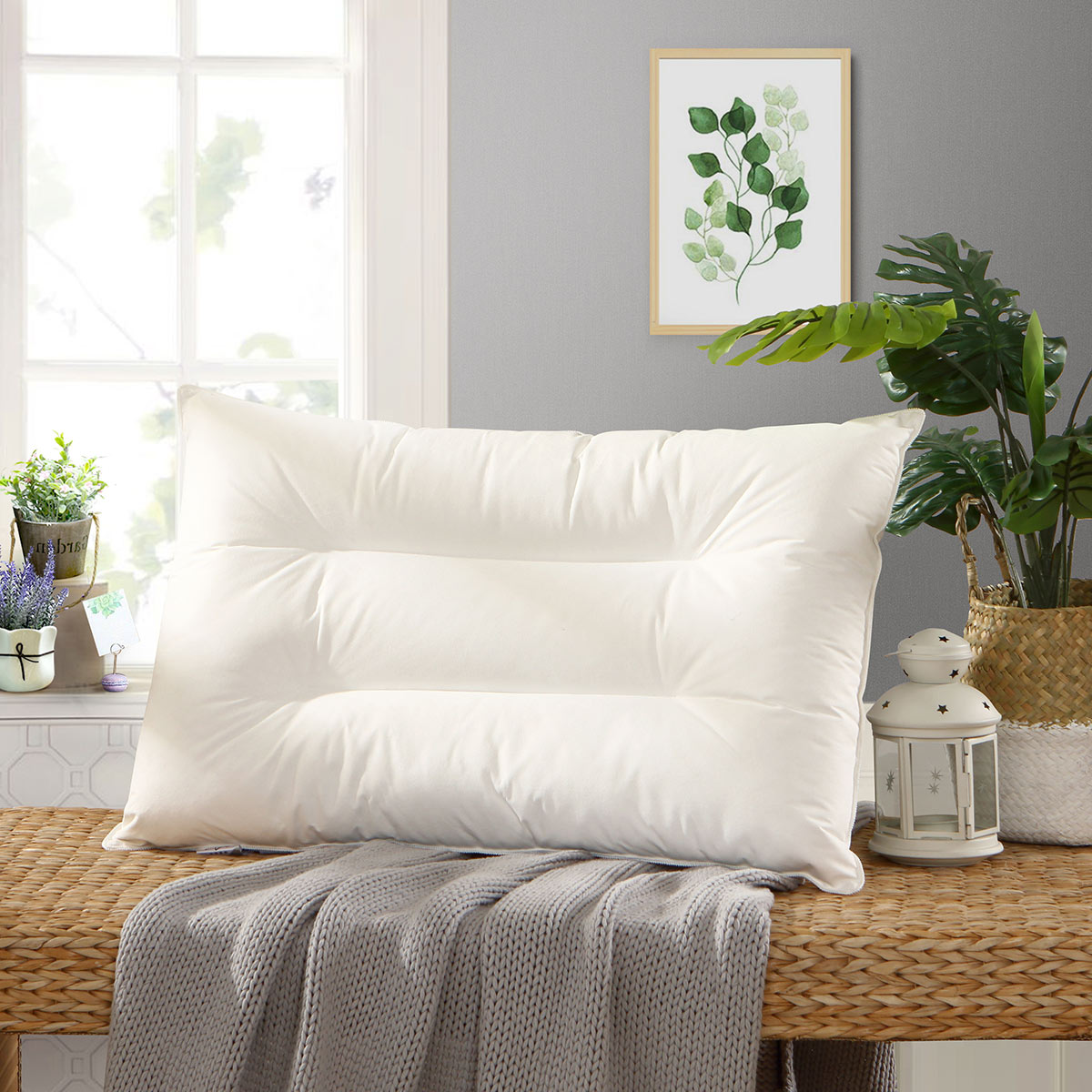 水星家纺单人成人枕芯透气家用枕头柔软透气依沃珑防螨枕