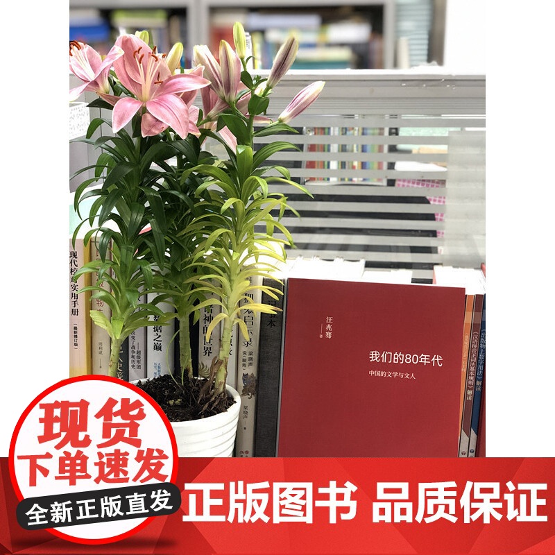 我们的80年代:中国的文学与文人 汪兆骞 现代出版社 正版书籍高清大图