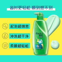 飘柔洗发水净爽去屑750ml(去屑止痒洗发露洗头膏水 持久留香 滋养秀发 清爽不油腻 男士女士洗发液 苏宁自营)