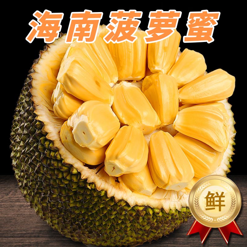 【熊猫鸟】海南黄肉菠萝蜜 新鲜水果 香甜可口 1个 净重20-25斤