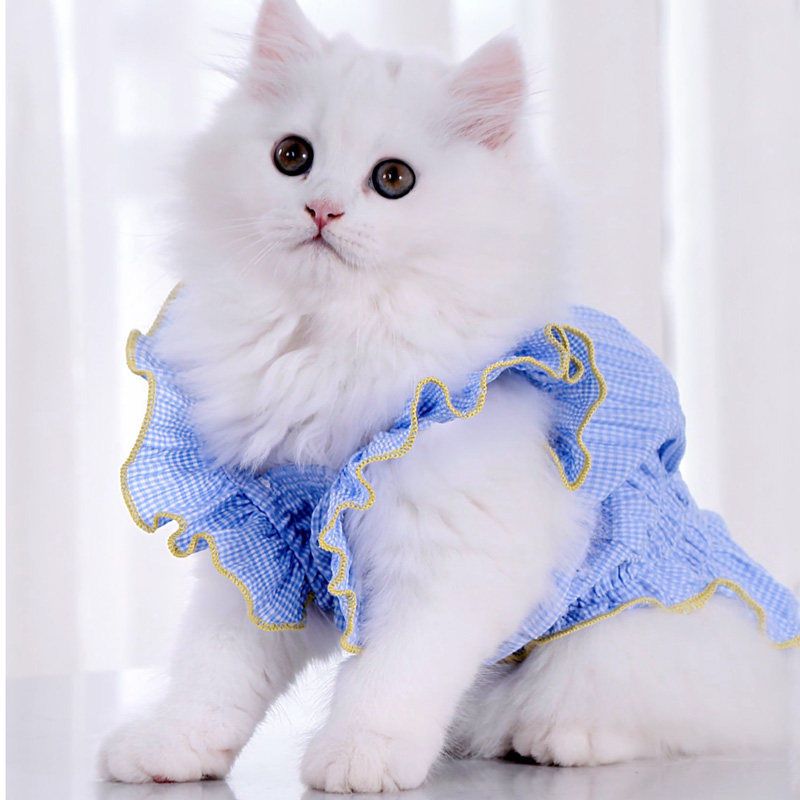 斤内猫咪衣服夏季薄款猫防掉毛布偶猫幼猫裙子夏宠物猫猫夏天小猫背心