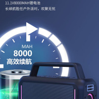 Philips/飞利浦 SD228户外蓝牙音箱广场舞音响大功率手提K歌直播户外音箱