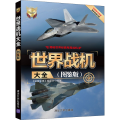 世界战机大全(图鉴版)