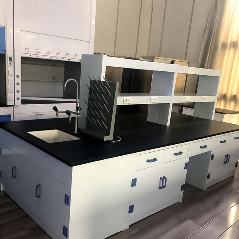 兴福隆全钢实验台钢木PP边台柜试验台化验室工作台实验室桌操作台定制(每米单价)[工厂现做 7天内发货]