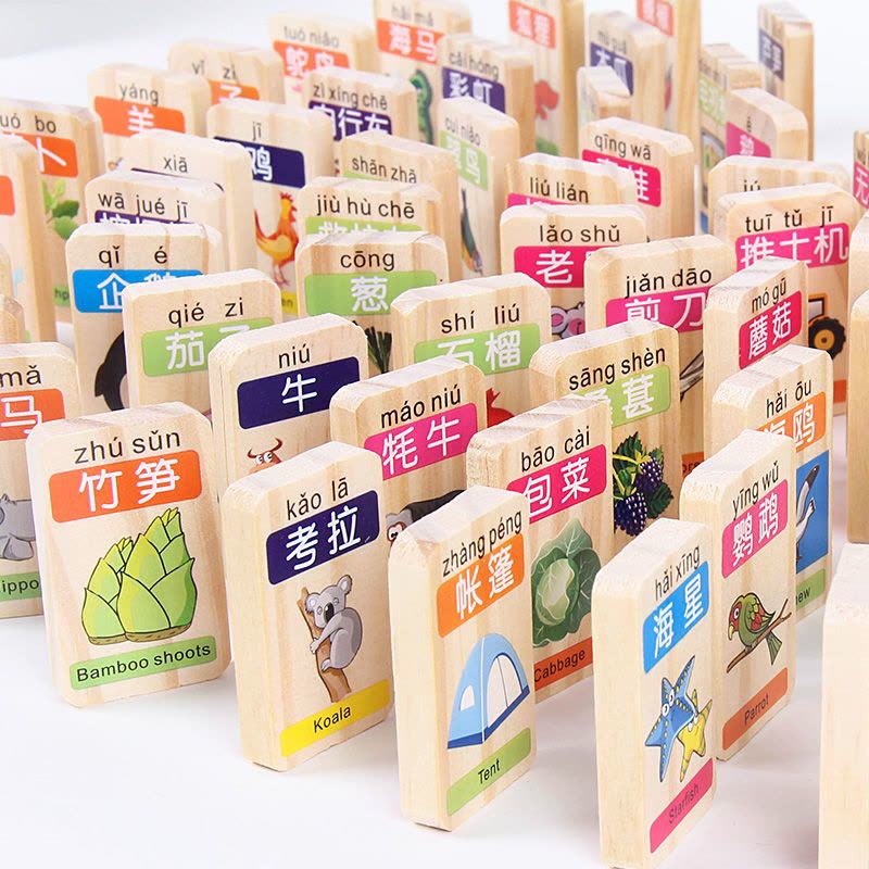 多米诺骨50粒装100粒装识字儿童玩具木制宝宝早教积木玩具图片