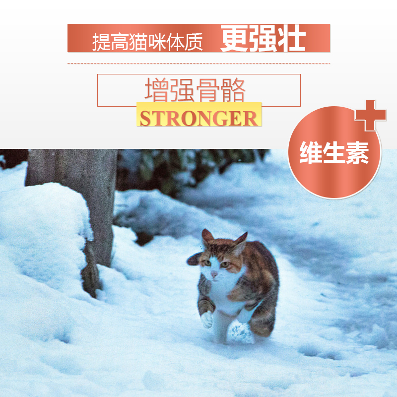 猫粮幼猫成猫粮去毛球 美短蓝猫英短暹罗猫奶糕专用三文鱼猫粮5斤高清大图