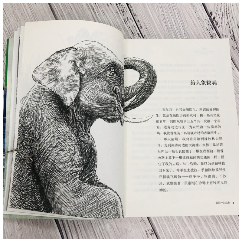 [醉染正版]正版ZUI后一头战象动物小说大王沈石溪品藏书系 7-9-10-12岁中国儿童文学 少儿课外读物教辅成长益智认高清大图