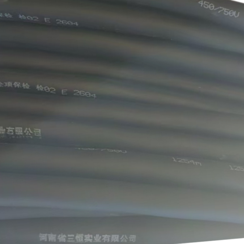 三恒 软电缆 ZC-BVR1*185 米高清大图