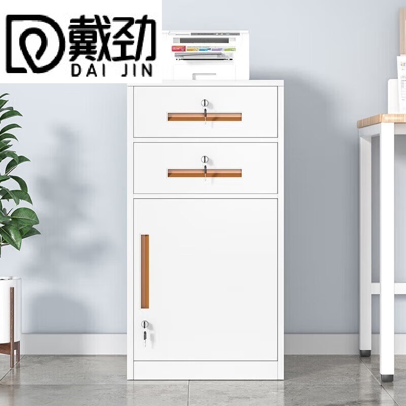 戴劲铁皮文件柜矮柜资料柜带锁抽屉柜桌下收纳小柜子 85高二抽白色高清大图