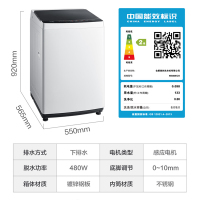 美的（Midea）MB80ECO 波轮洗衣机 8公斤全自动家用宿舍大容量免清洗立方内桶新品 白色
