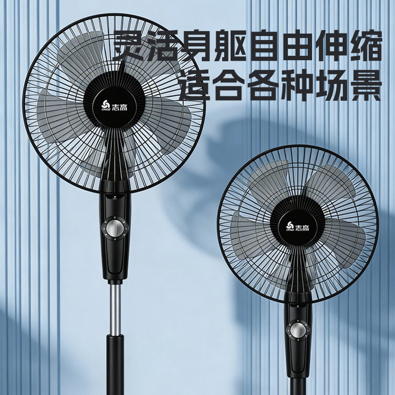 志高(CHIGO)落地扇FS-30-12A13 黑色 家用宿舍台式五叶风扇高清大图