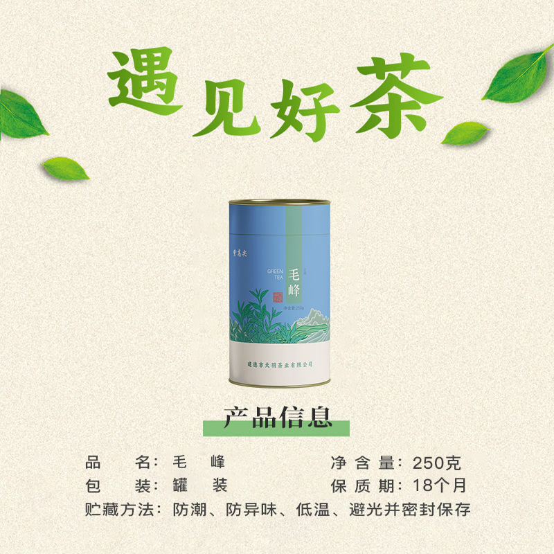 紫高尖三级毛峰250g罐装高清大图