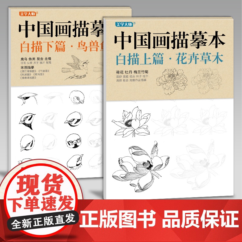 [送笔墨碟]中国画描摹本工笔画上下2册/基础训练篇+强化提高篇高清大图