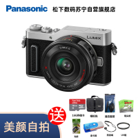 松下(Panasonic) DC-GF10X(14-42X) 微单相机 银色1600万像素 单镜头套装