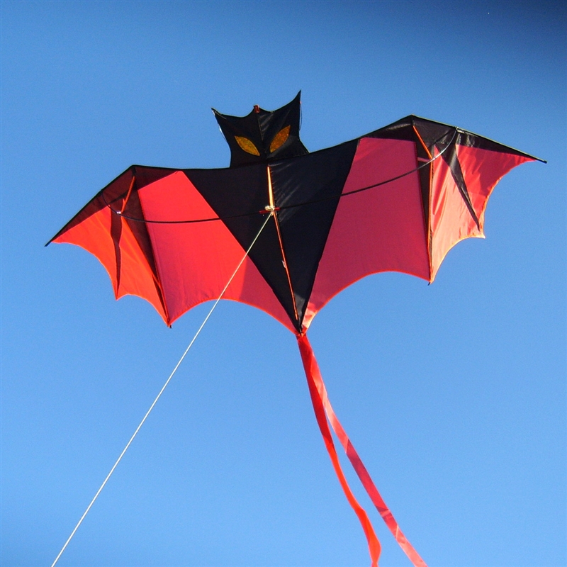 潍坊风筝春鸢新款大型成人儿童现代闪电客前撑杆蝙蝠风筝线轮微风易飞