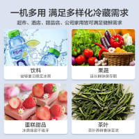 美的展示柜可装161瓶娃哈哈纯净水冷藏保鲜柜商用210升 立式单门透明玻璃门陈列柜商超便利店啤酒饮料柜ML-208DGE