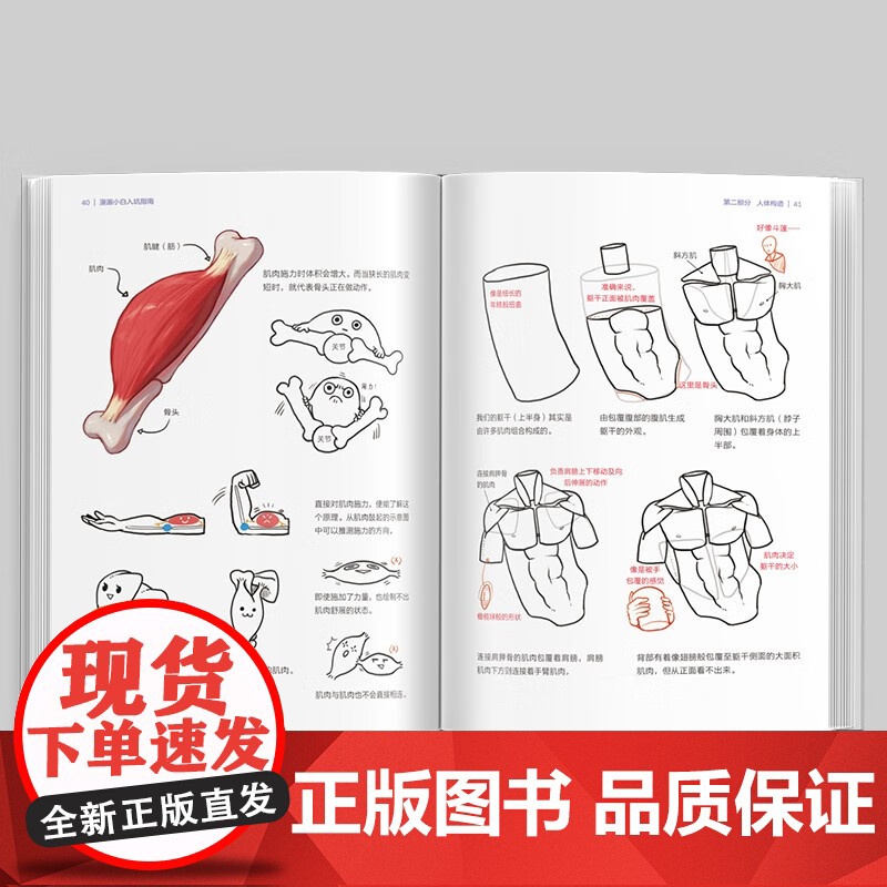 漫画小白入坑指南 朴理卢 著 漫画高清大图